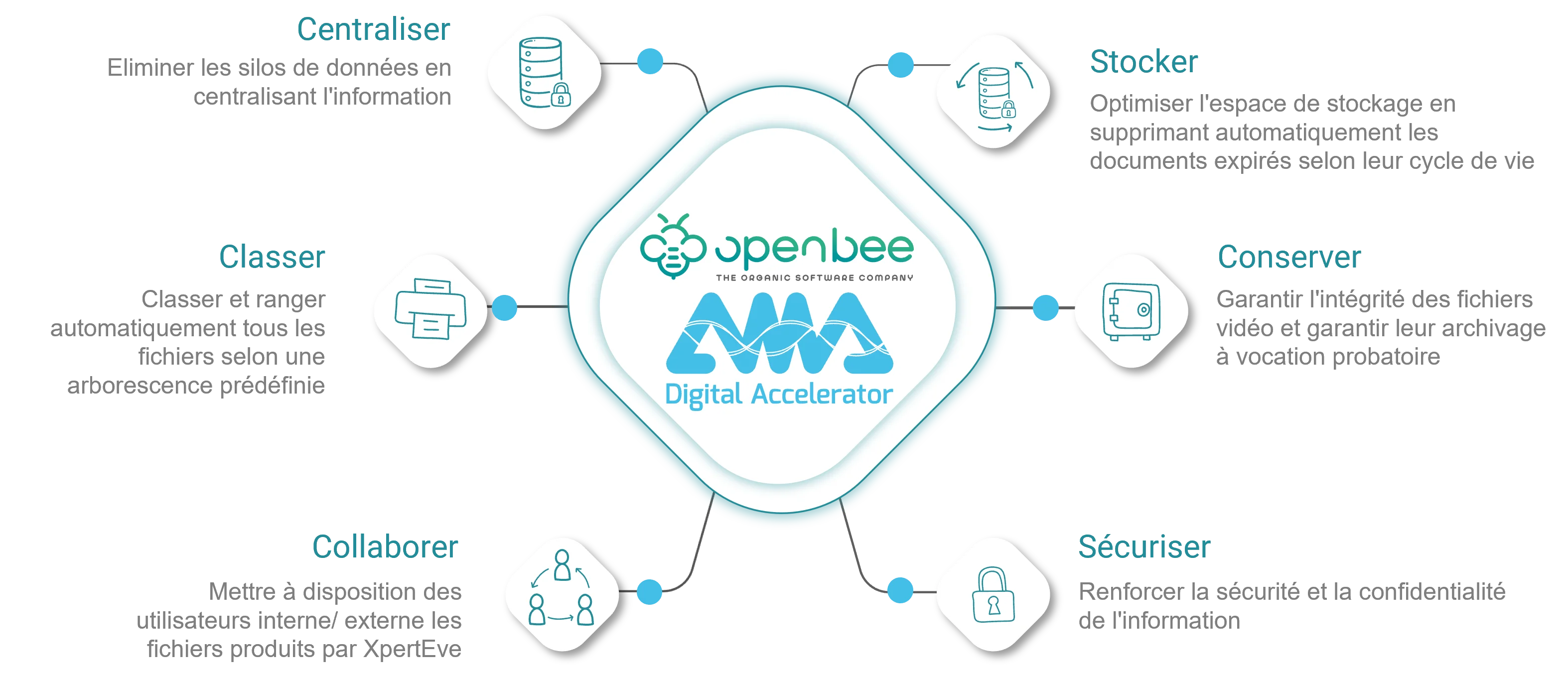 AMA et Open Bee
